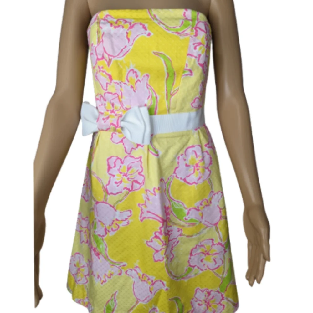 Lilly Pulitzer Amberly Dress 4 - Picture 5 of 12